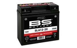 Batterie 12-20 (activée en usine) BS BATTERY