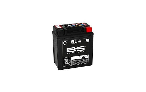 Batterie BB3L-B (activée en usine) BS BATTERY