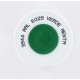 Bombe de peinture Arexons Vert menthe RAL 6029 - 400 ml